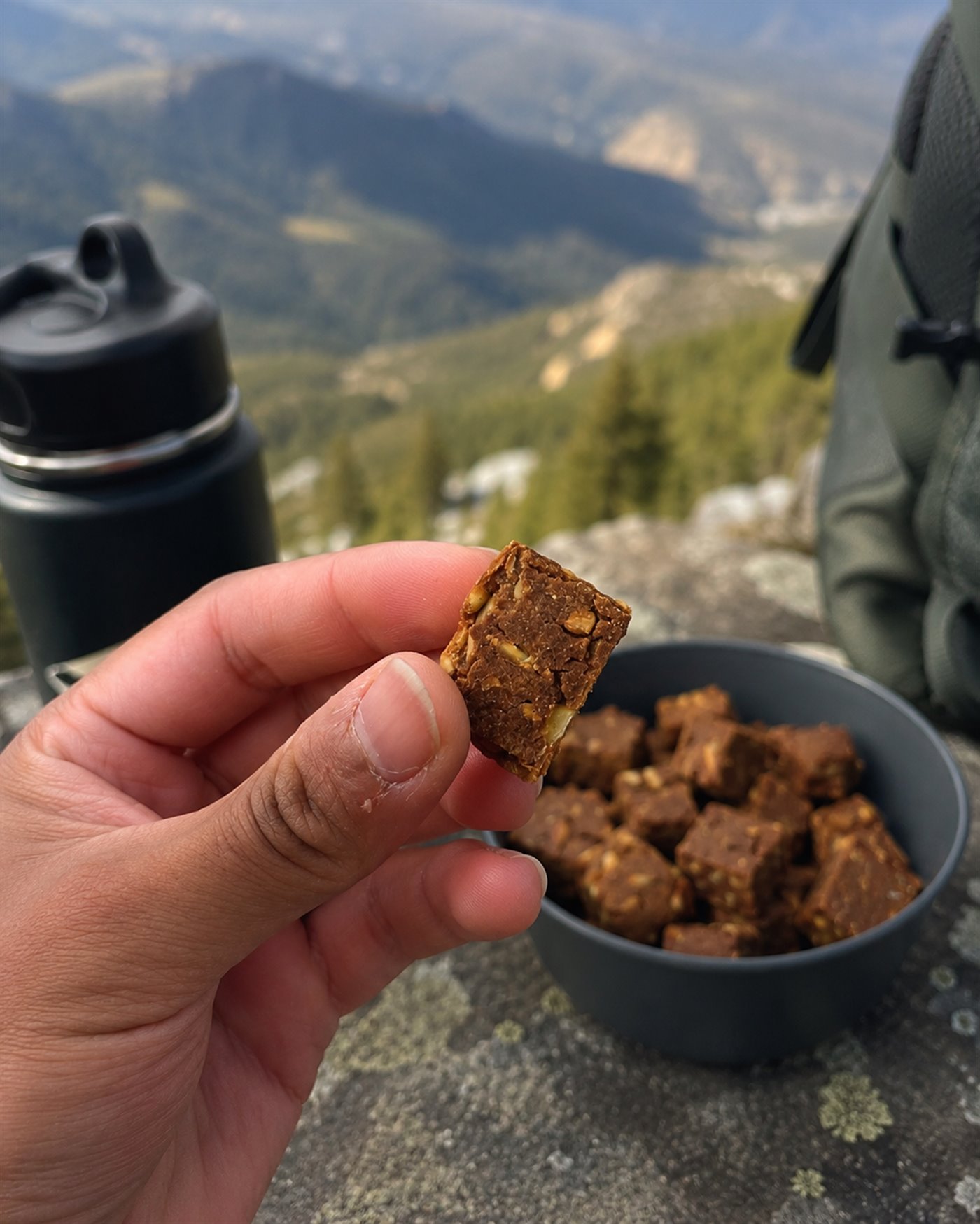 BagFood Bite vor Bergblick